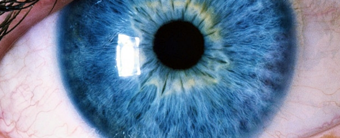 Dry Eye - Xerophtalmia Treatments